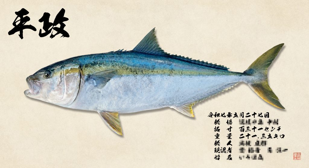 ヒラマサ（リアル魚拓）