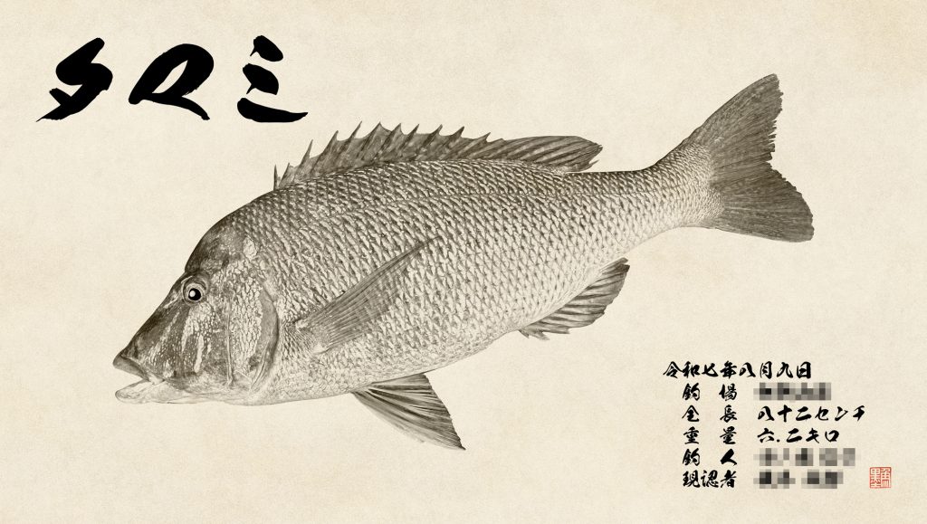 タマミ（墨魚拓）