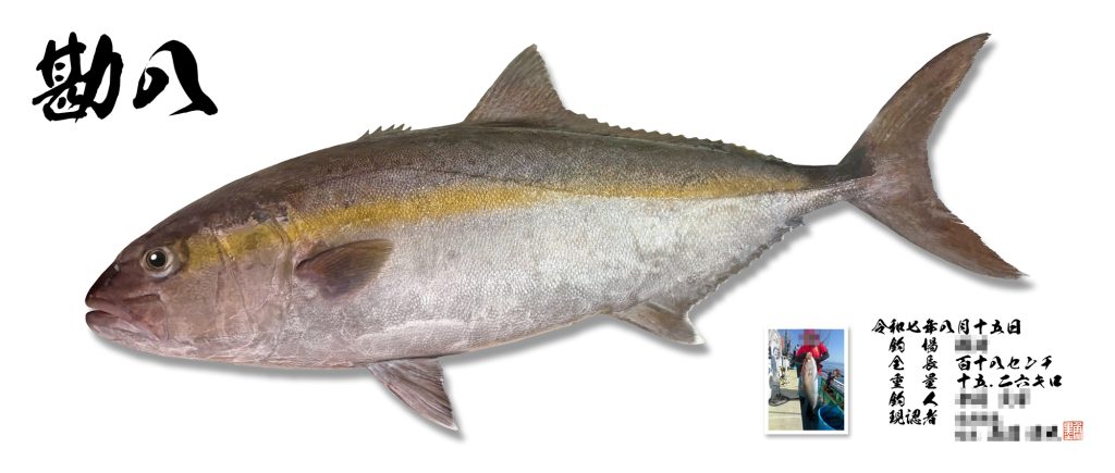 カンパチ(リアル魚拓)