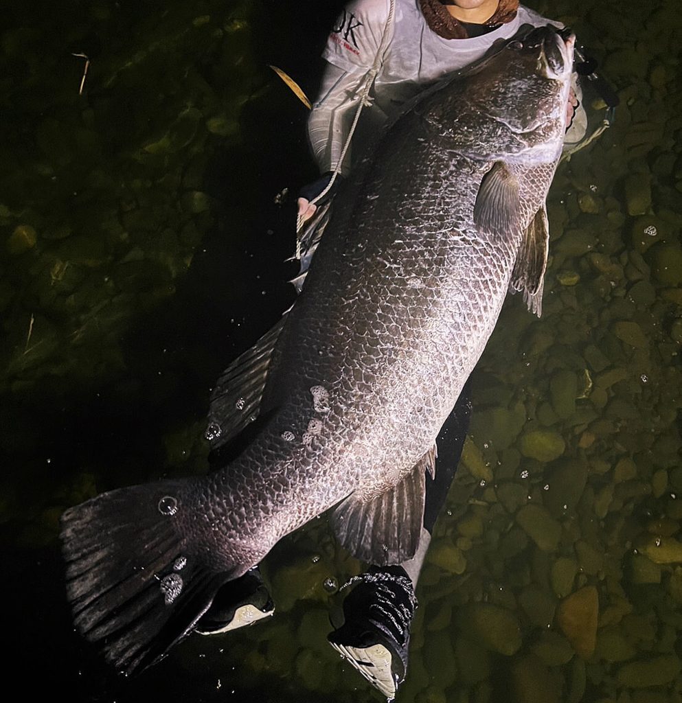 潜水艦（カラー魚拓）元画像