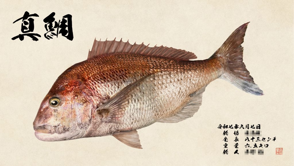 真鯛（カラー魚拓）