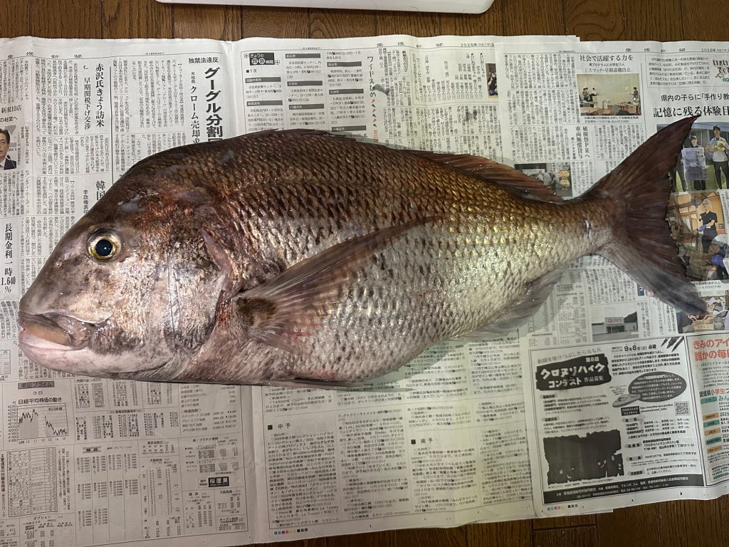 真鯛（カラー魚拓）元画像