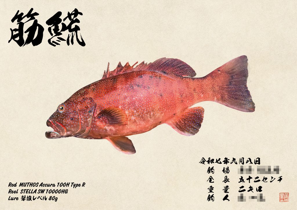 スジアラ(カラー魚拓)