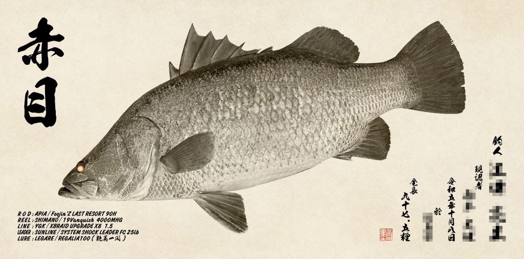 アカメ（墨魚拓）