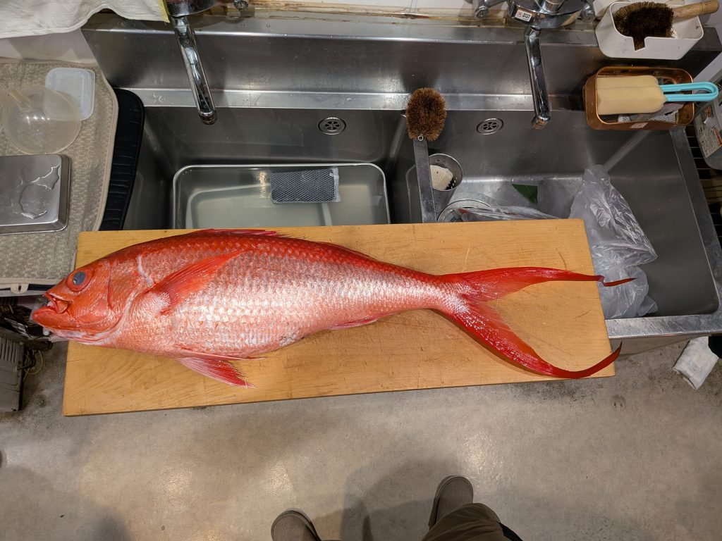 オナガダイ（カラー魚拓）元画像