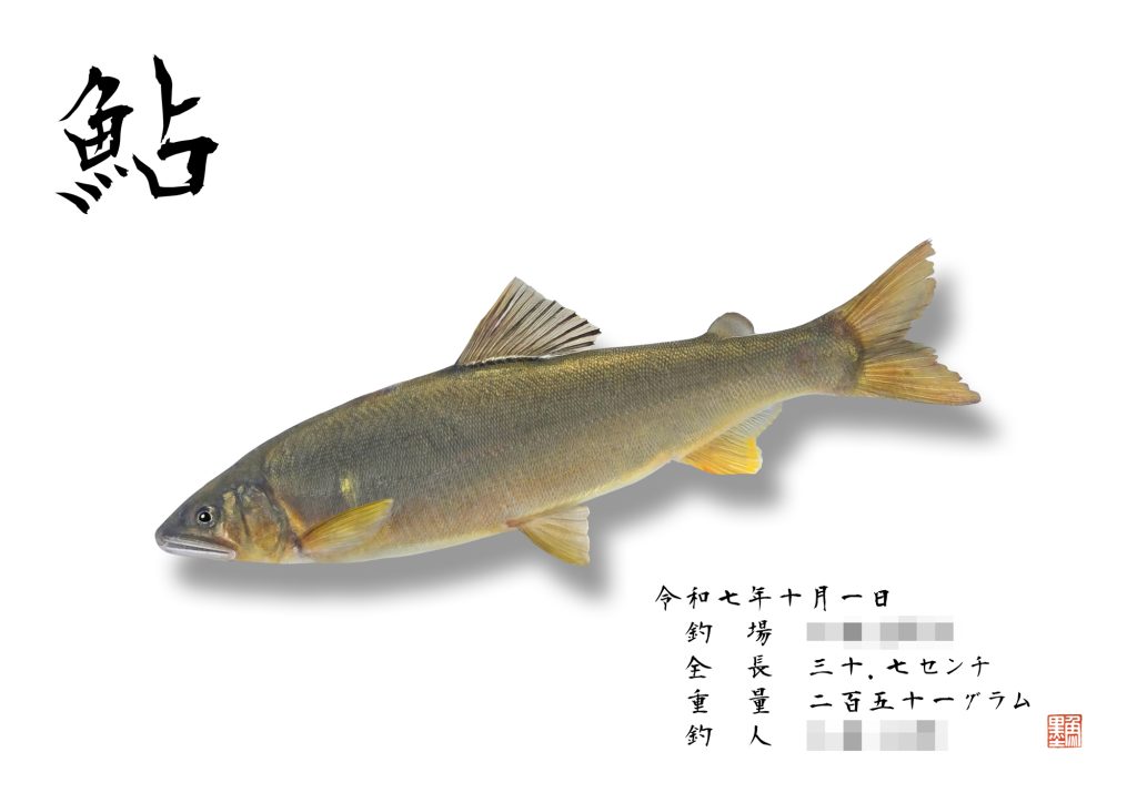 アユ(リアル魚拓)