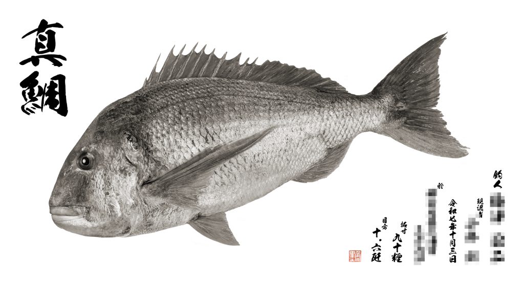 真鯛（墨魚拓）