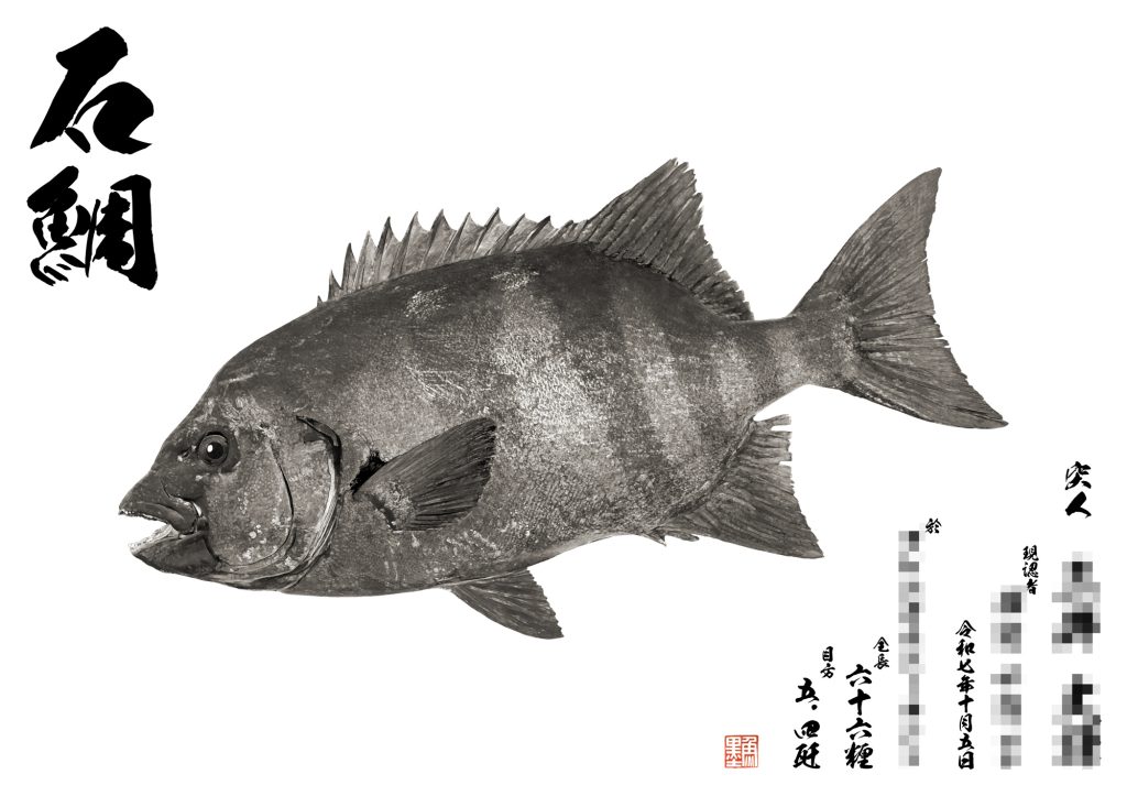 石鯛（墨魚拓）