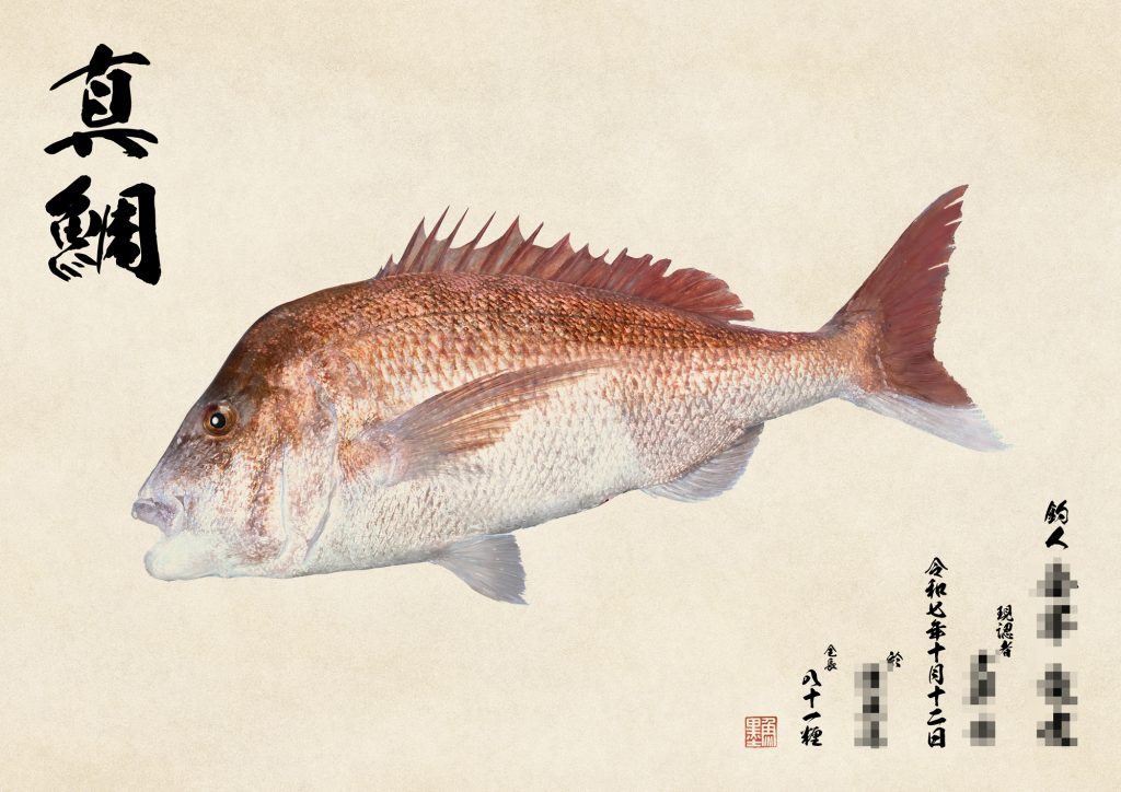 真鯛（カラー魚拓）