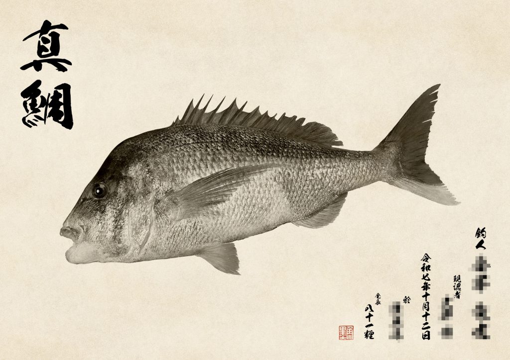 真鯛（墨魚拓）