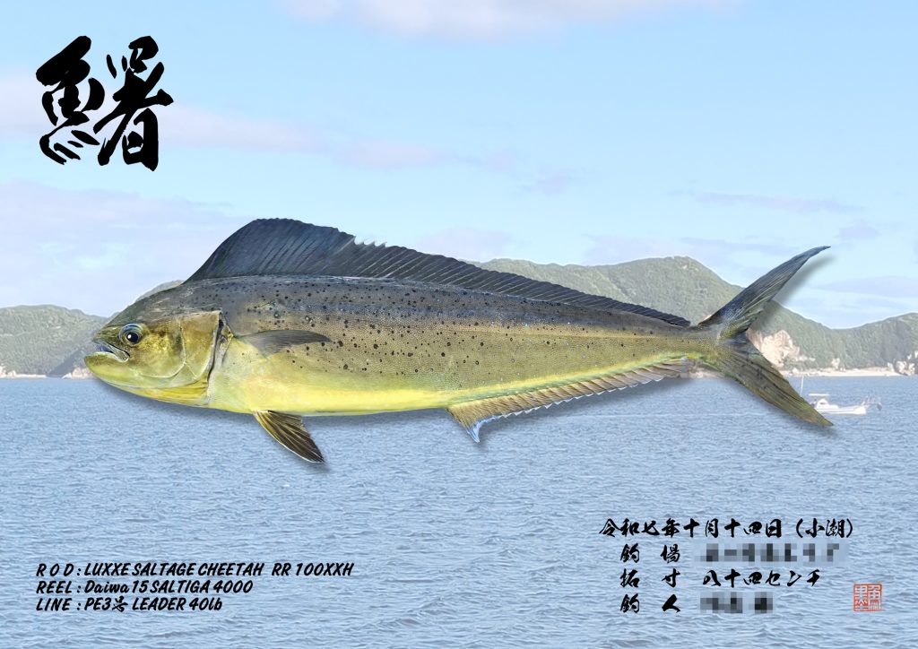 シイラ(リアル魚拓)