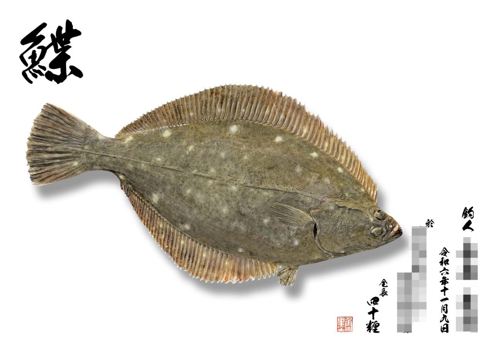 カレイ(リアル魚拓)
