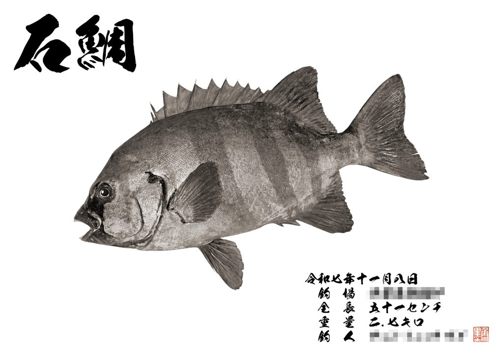 石鯛（墨魚拓）