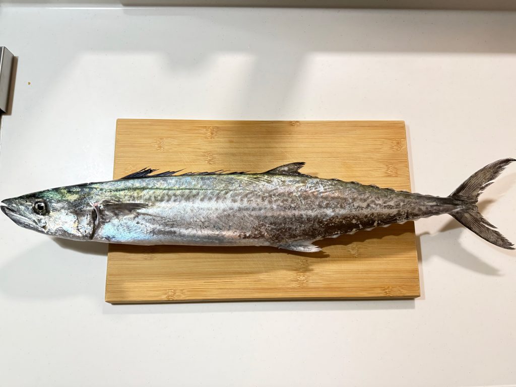 サワラ（墨魚拓）元画像
