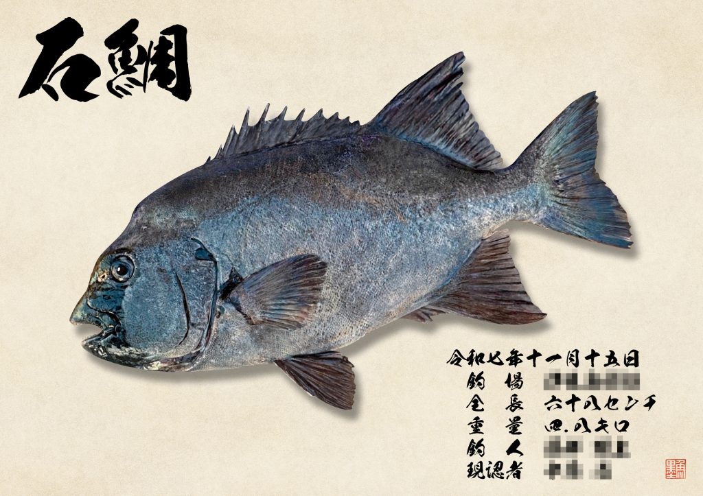 石鯛（リアル魚拓）