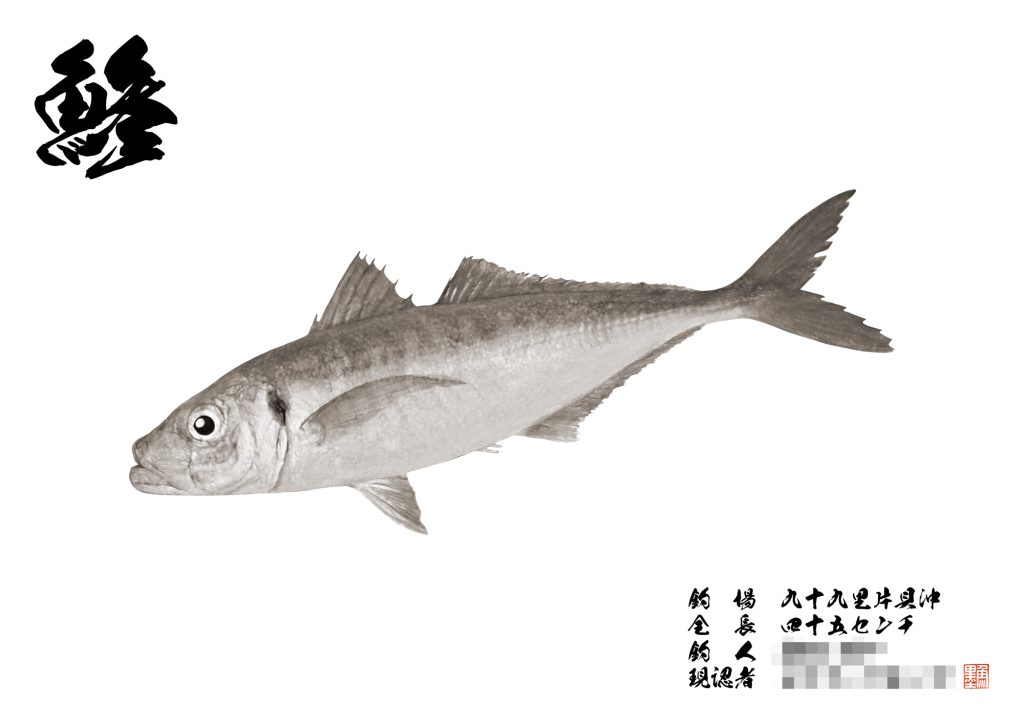 アジ(墨魚拓)