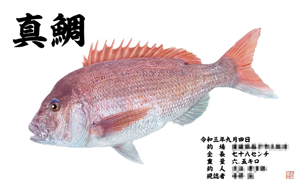 真鯛（カラー魚拓）
