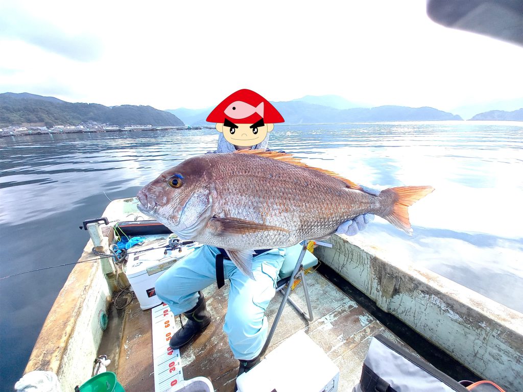 真鯛（カラー魚拓）元画像