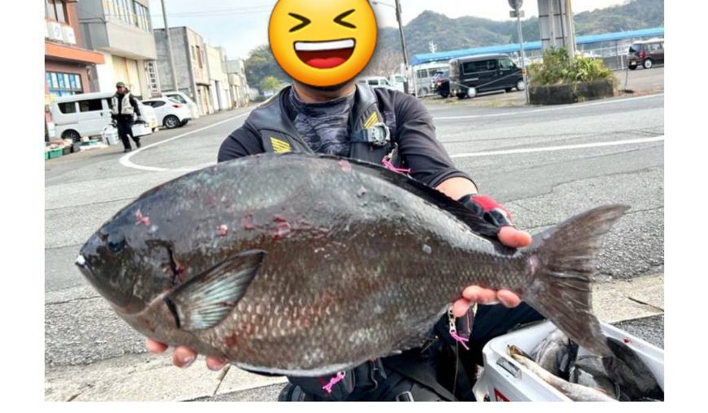 尾長グレ　元画像