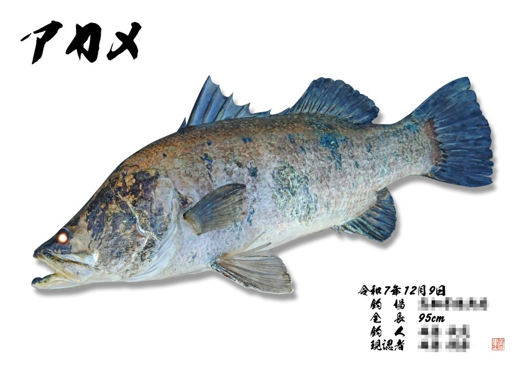 アカメ(リアル魚拓)