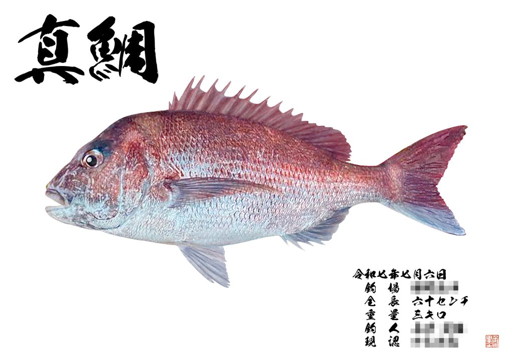 真鯛(カラー魚拓)
