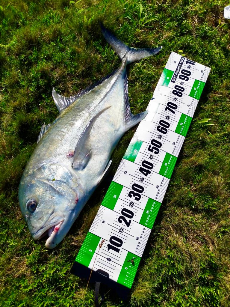 ロウニンアジ(カラー魚拓)元画像