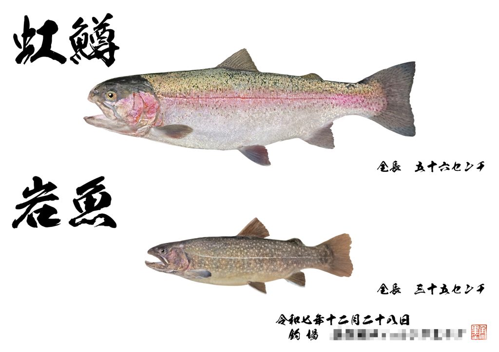 ニジマス　イワナ（カラー魚拓）