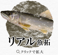 リアル魚拓