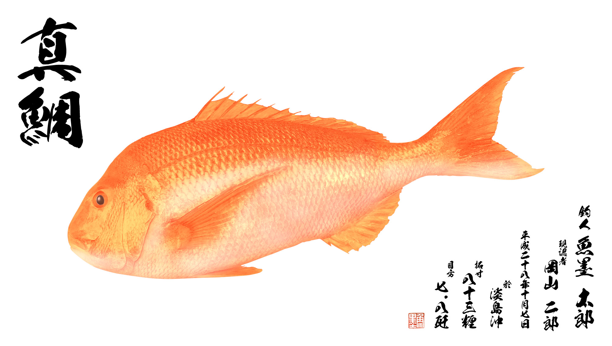 魚拓 朱色