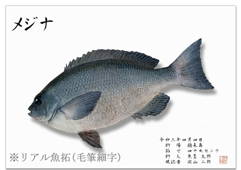 リアル魚拓