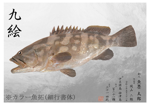 カラー魚拓