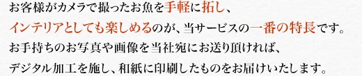 お客様がカメラで撮ったお魚を手軽に拓し、インテリアとしても楽しめるのが、当サービスの一番の特長です。お手持ちのお写真や画像を当社宛にお送り頂ければ、デジタル加工を施し、和紙に出力したものをお届けいたします。